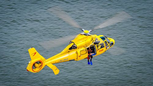 Kikker wachting over the sea