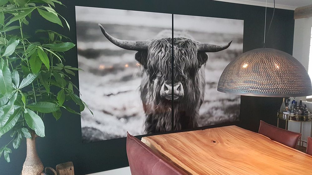 Scottish Highlander by Nathalie Bauland