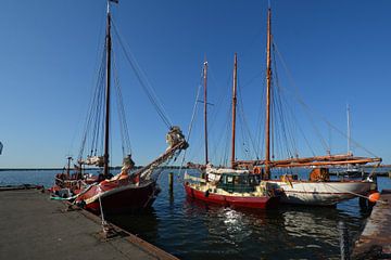 nostalgische Schiffe im Hafen Altefähr