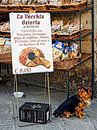 Guard Dog Heaven van Dorothy Berry-Lound thumbnail