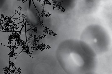 Waterdruppels in zwart wit