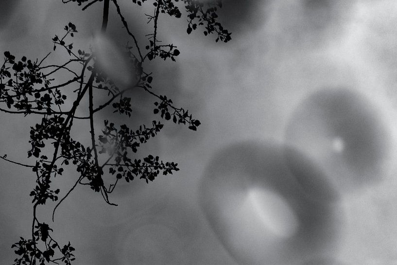 Waterdruppels in zwart wit | Fine Art Photo van Nanda Bussers