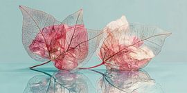 Gossamer Hearts Nr. 3 von Studio BB