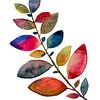 Zweig mit Blättern in fröhlichen Farben | Aquarellmalerei von WatercolorWall