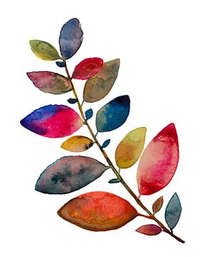 Zweig mit Blättern in fröhlichen Farben | Aquarellmalerei von WatercolorWall