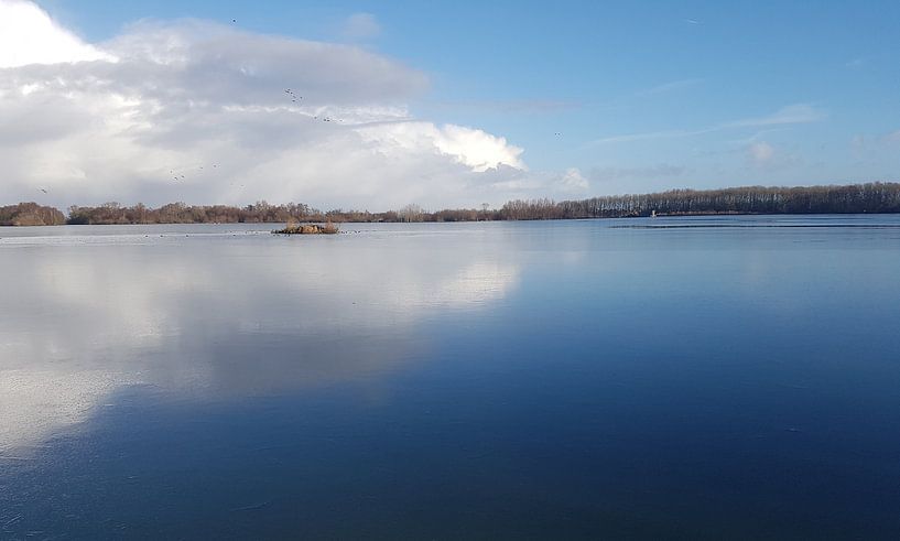 Geerpoldersee von Angelique van 't Riet