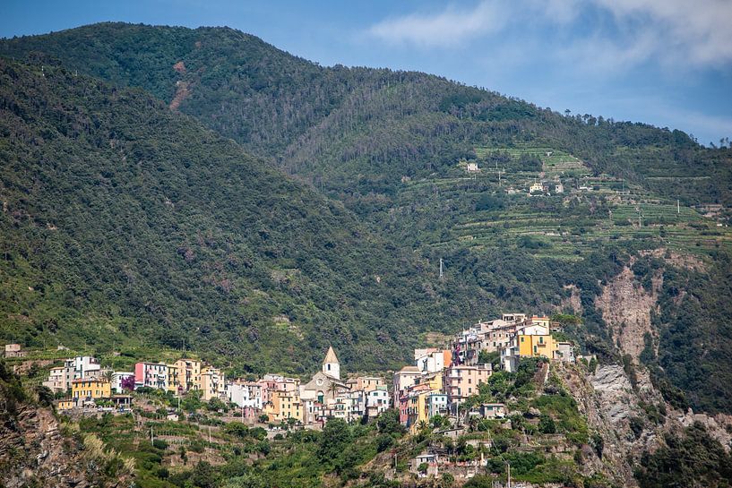 Cinque Terre by Eric van Nieuwland