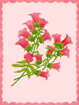 Calampula Flower by Aliya Putrus