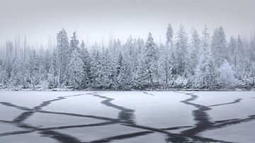 Wintermomenten op de Oderteich van Steffen Henze