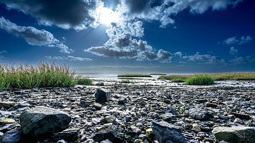 Low tide on the tidal flats