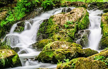 Cascades of life - mosgroene waterval in ongerepte natuur van Fototante