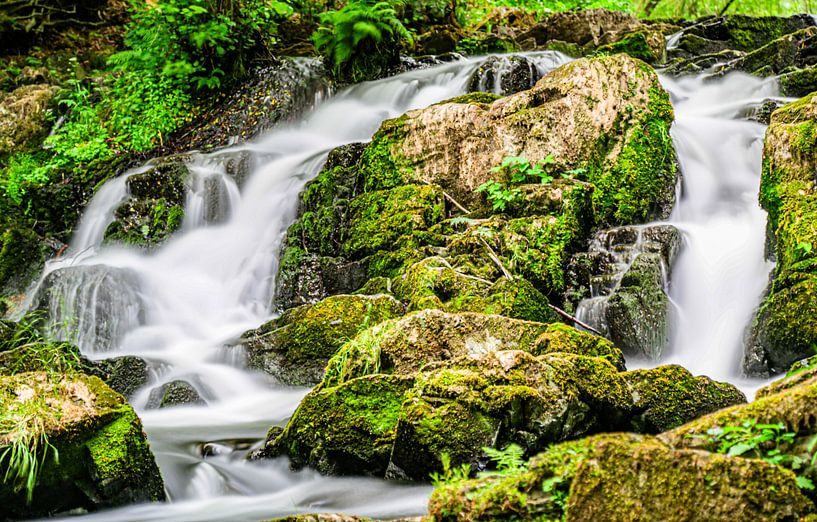 Cascades de la vie - cascade vert mousse dans une nature intacte par Fototante