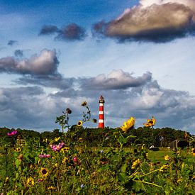 De vuurtoren van Ameland 'Bornrif' van Lizanne van Spanje