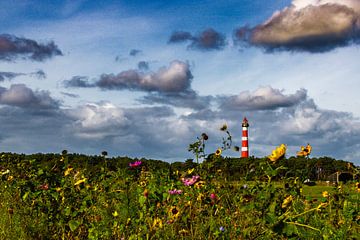 Ameland's lighthouse 'Bornrif' by Lizanne van Spanje