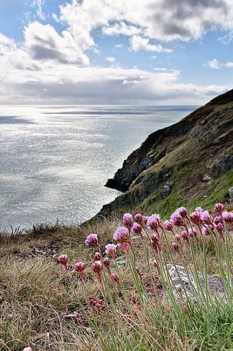 De ruige Ierse kust bij Dublin