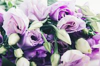 Blumenpracht