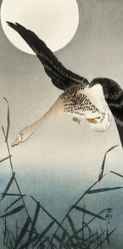 White-fronted goose at full moon (1900 - 1930) by Ohara Koson