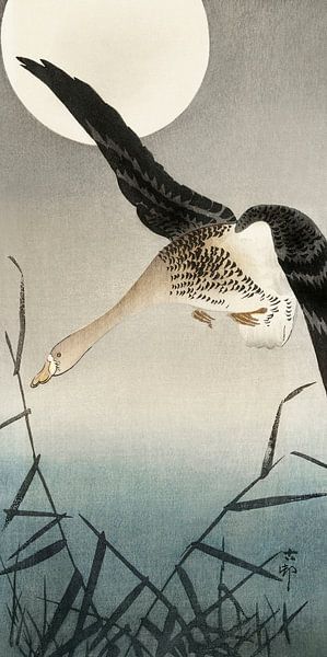 Oie à front blanc à la pleine lune (1900 - 1930) par Ohara Koson par Studio POPPY