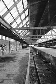 Zeilen von Femke Krone