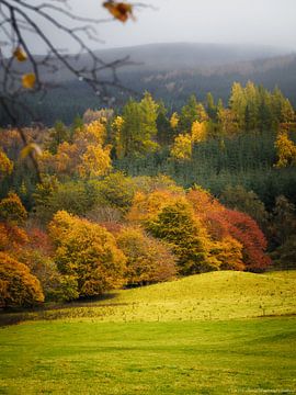 Les collines de Killin