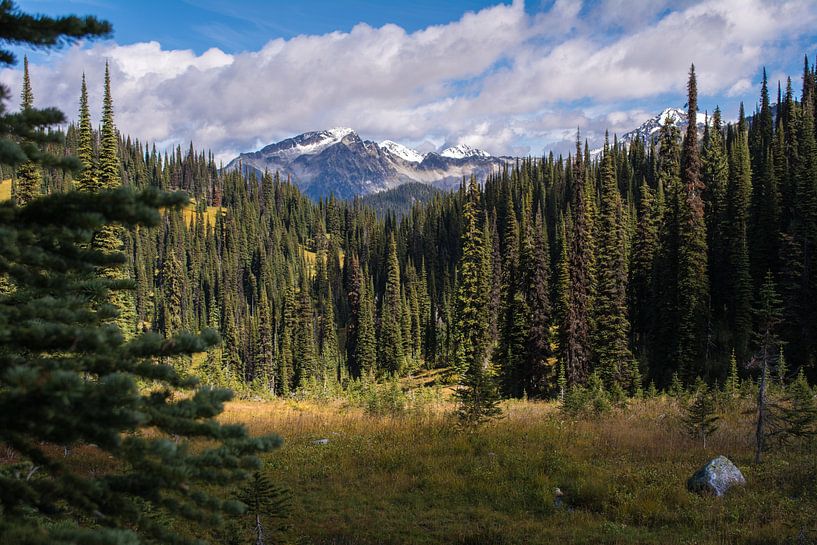 Canadian landscape, blue skye, mountains, forest by Milou Mouchart