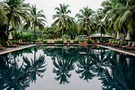Pool reflection tropisch van Anouk Wubs thumbnail