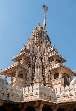 Ranakpur: Ranakpur Jain tempel by Maarten Verhees