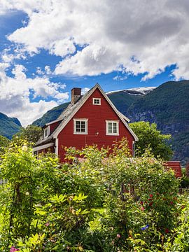 Rood houten huis in Aurland in Noorwegen van Rico Ködder
