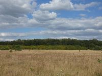 un paysage paisible