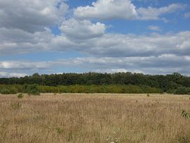 eine friedliche Landschaft von Jamie natuurfotografie