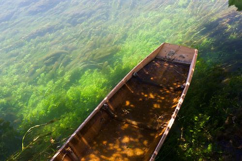 Canette en cours d'utilisation