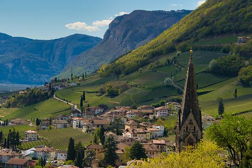 Uitzicht op Tramin in Zuid-Tirol