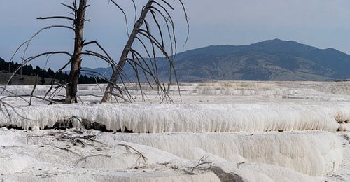 Mammoth Hot Springs, Yellowstone National Park, USA
