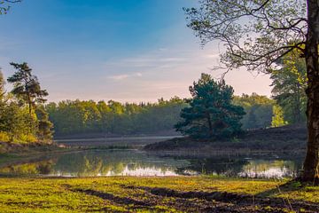 Zonsopkomst van Wim Kanis