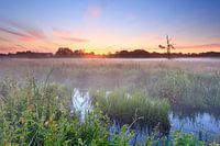 Sunrise on the Loonerdiep