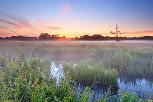 Zonsopkomst aan het Loonerdiep