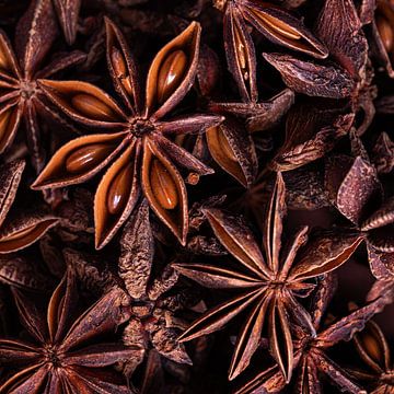 A little warmth in the house: Square star anise