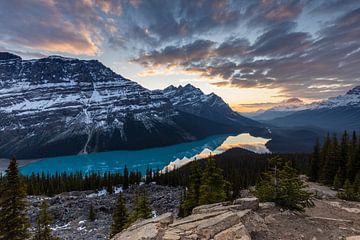 Lake Peyto in de Rocky Mountains van Roland Brack