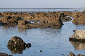 Waddenzee bij Moddergat