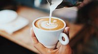 Verse koffie van Milan Markovic thumbnail