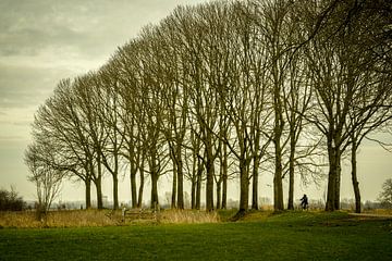 De Ooijpolder bij Nijmegen