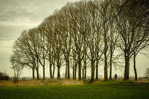 De Ooijpolder bij Nijmegen van Maerten Prins