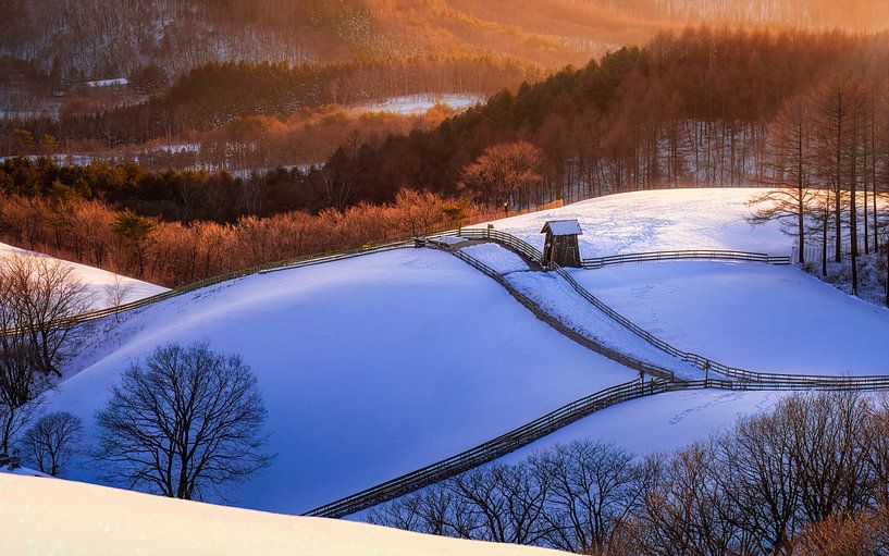 Sunset on a snowy hill by Tiger Seo