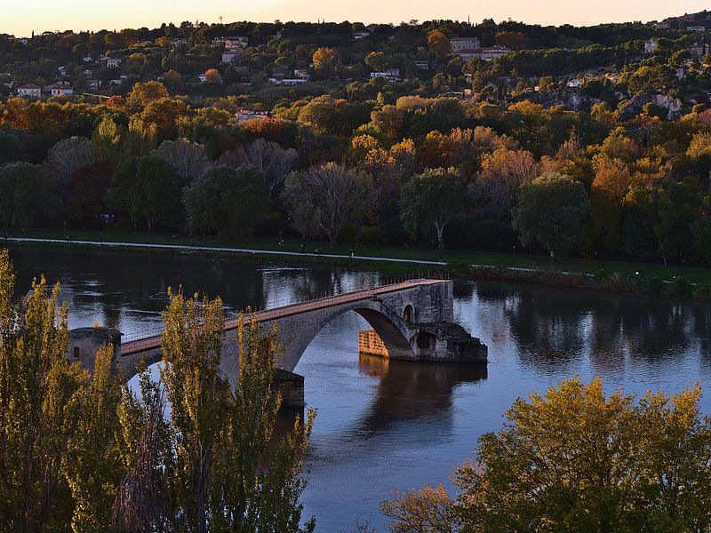 Pont d’Avignon im Abendlicht von Timon Schneider