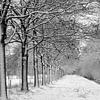 Sneeuw landschap op landgoed Nienoord van R Smallenbroek
