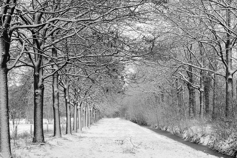 Snow landscape on Nienoord estate by R Smallenbroek