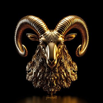 Kunstshow Schoonheid JM7.0169