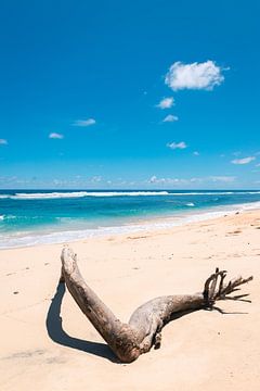 Schöner weißer Strand mit strahlend blauem Wasser (Pantai Nunggalan Beach) auf Bali, Indonesien von Troy Wegman