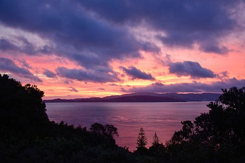 Zonsondergang over Days Bay
