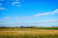 boerderij